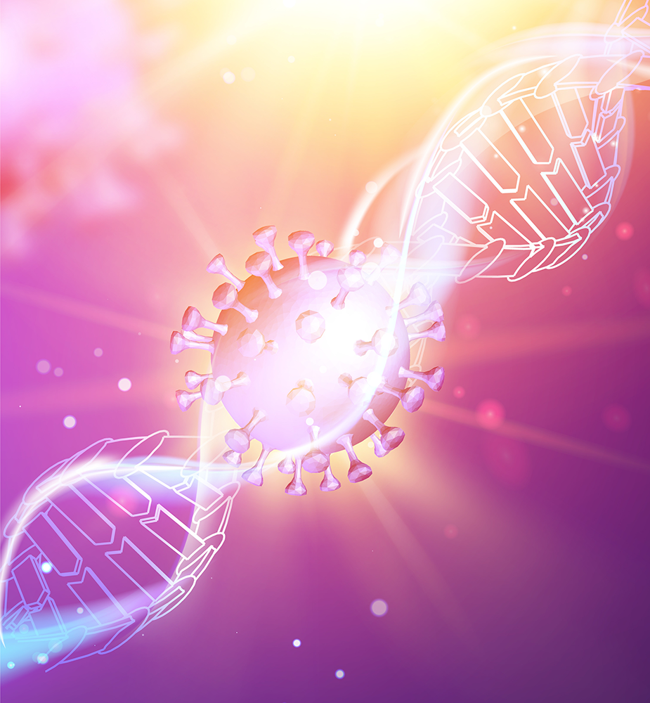 Viral vector virus in a strand of DNA